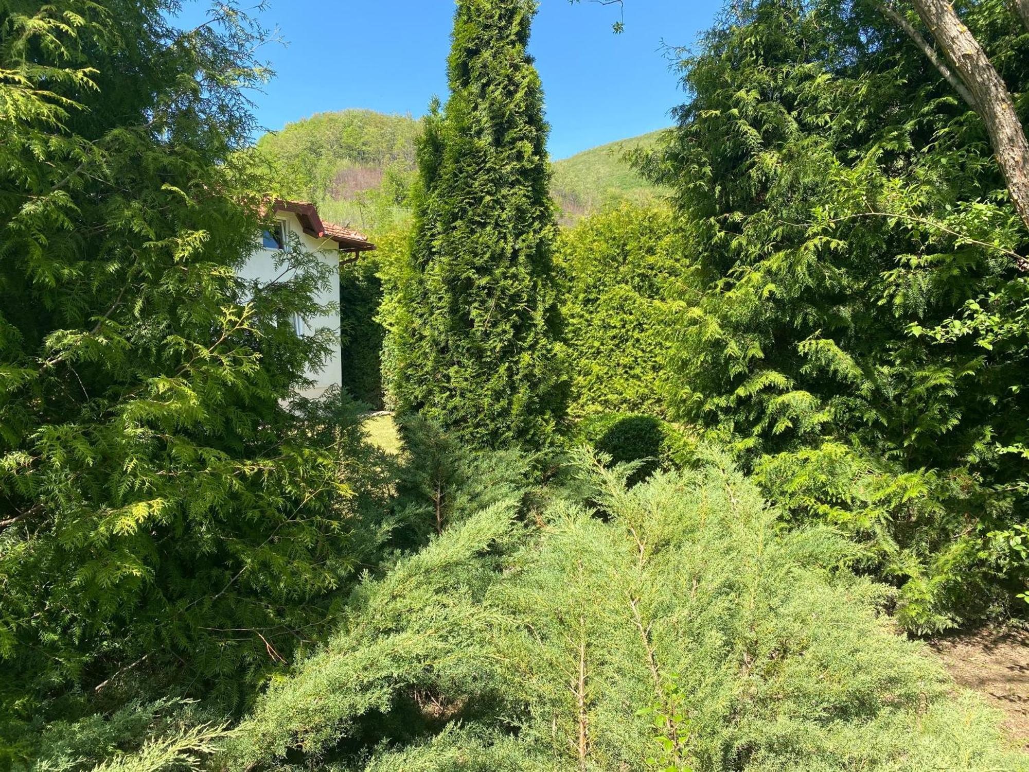 Villa Nana Kulen Vakuf Exterior photo